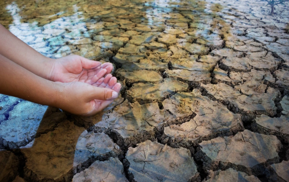 the-art-and-science-of-storytelling-for-social-impact-campaigns