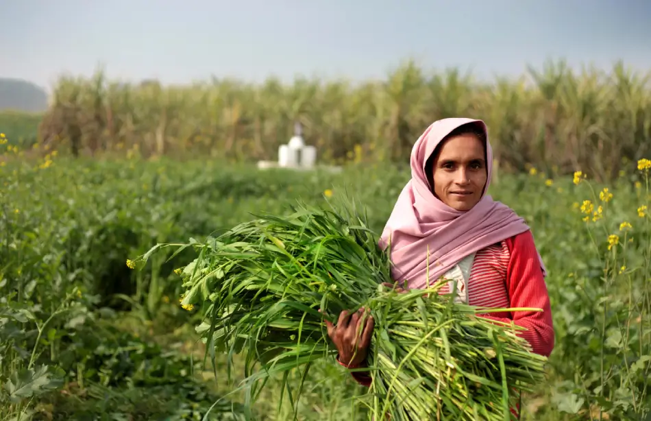 csr-communication-the-untapped-power-of-purpose-over-pr